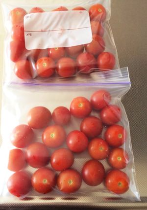 トマトの冷凍保存〜大量消費〜-レシピのメイン写真