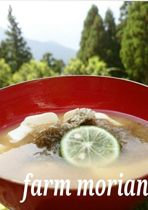 農園レシピ♪お味噌汁にすだち～❤-レシピのメイン写真