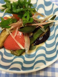 夏野菜の甘酢和え-レシピのメイン写真