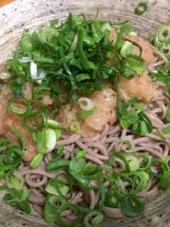 梅と大根おろし蕎麦-レシピのメイン写真