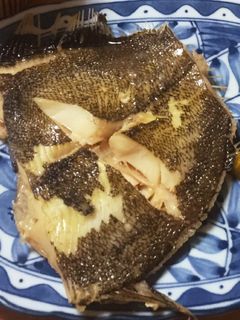 時短でふっくらカレイの煮付け-レシピのメイン写真