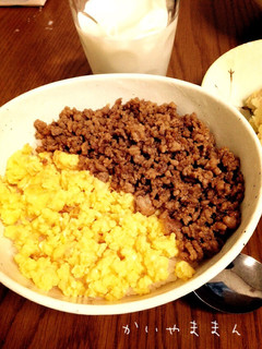 余計なものはいらない。そぼろ丼-レシピのメイン写真
