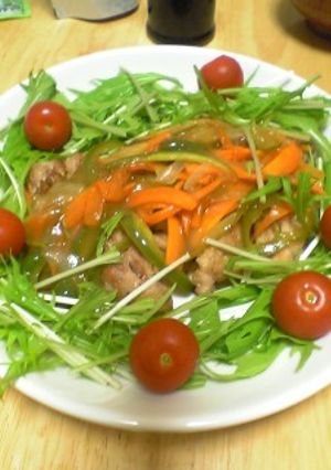 鶏肉の甘酢あんかけ-レシピのメイン写真