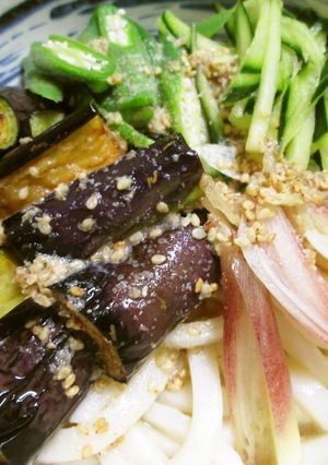 ごま風味♪茄子入り冷やしうどん-レシピのメイン写真