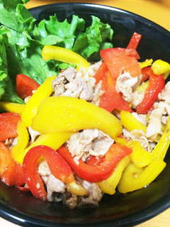 *パプリカ豚丼*-レシピのメイン写真