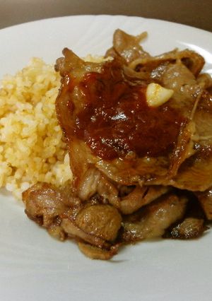 最速のガラパゴス（肉）-レシピのメイン写真