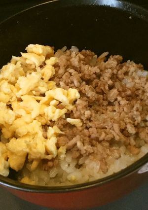 片手鍋で作れる2色丼-レシピのメイン写真