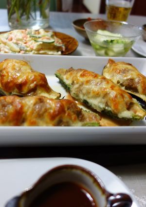 茄子とゴーヤのハンバーグ詰め-レシピのメイン写真