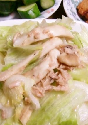 ツナ缶汁で味付けエリンギとレタスのサラダ-レシピのメイン写真