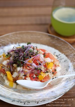 野菜とチーズのシンプルサラダごはん-レシピのメイン写真