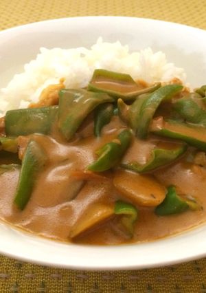 ピーマンカレー☆一人分リメイク-レシピのメイン写真