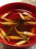 花茗荷と青ネギのおすまし