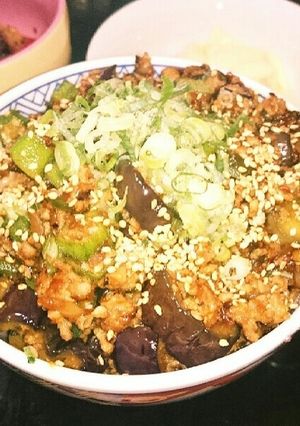 茄子とオクラと挽き肉丼-レシピのメイン写真