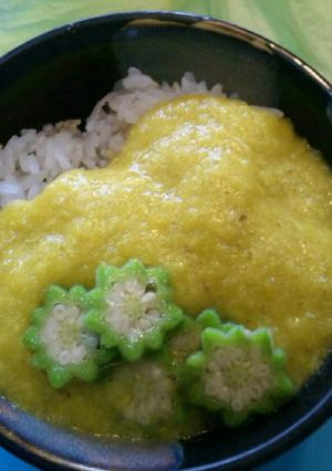 花おくらとろとろご飯-レシピのメイン写真