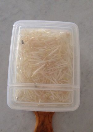 長持ちします！シャキッともやしの保存方法-レシピのメイン写真