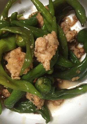 シシトウと鶏ミンチ炒め-レシピのメイン写真