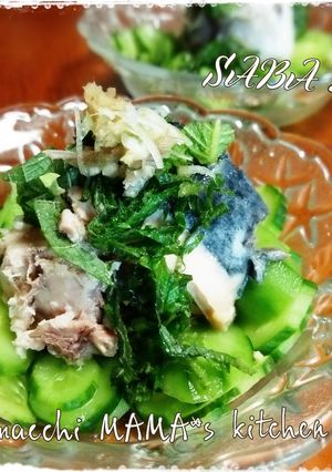 もう一品♪鯖缶に薬味たっぷりのっけもり-レシピのメイン写真