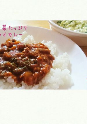夏野菜たっぷりドライカレー-レシピのメイン写真