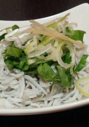 ♡しらすと薬味のﾎﾟﾝ酢がけぇ♡-レシピのメイン写真