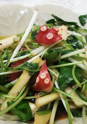 食欲そそる♡タコと水菜のオイル風サラダ-レシピのメイン写真