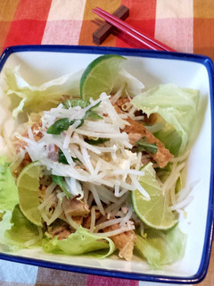 もやしと厚揚げのホットサラダエスニック風-レシピのメイン写真