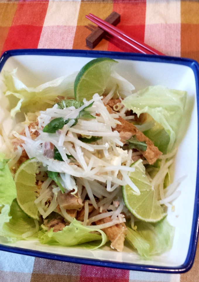 もやしと厚揚げのホットサラダエスニック風-レシピのメイン写真