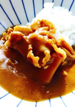豚バラのヒラヒラカレー☆-レシピのメイン写真