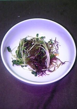 海草サラダ-レシピのメイン写真