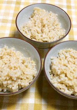 レンジ玄米御飯(茶碗3杯・浸さず60分)-レシピのメイン写真