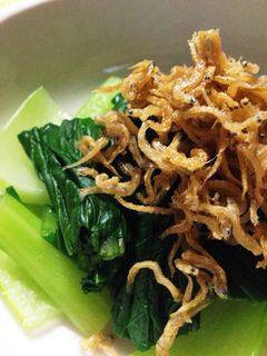 青梗菜のおひたし☆-レシピのメイン写真