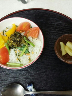 血管ダイエット食466(夏野菜茶漬け)-レシピのメイン写真