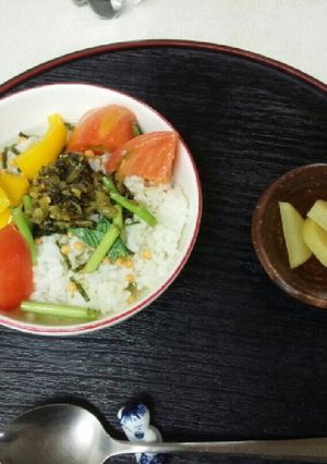 血管ダイエット食466（夏野菜茶漬け）-レシピのメイン写真
