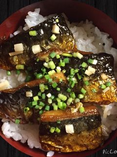 絶妙甘辛タレのイワシの蒲焼き丼-レシピのメイン写真