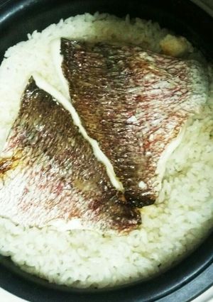 風味豊かな真鯛の鯛めし☆炊飯器でお焦げも-レシピのメイン写真