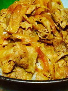 ゴボウと生姜たっぷりの♡ヘルシー豚丼-レシピのメイン写真