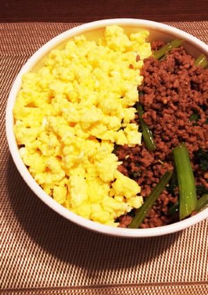 【アラサーずぼらメシ】そぼろ丼-レシピのメイン写真
