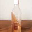ペットボトルで☆冷たく即飲み斜め凍らせ茶