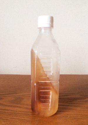 ペットボトルで☆冷たく即飲み斜め凍らせ茶-レシピのメイン写真