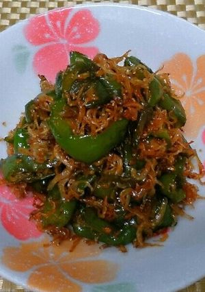 万願寺唐辛子(しし唐)とジャコの炒め煮-レシピのメイン写真