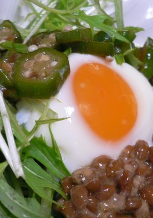 納豆オクラのサラダ-レシピのメイン写真