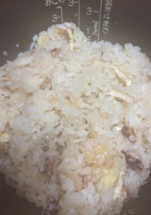 たこご飯-レシピのメイン写真