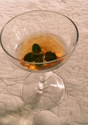 タラの木からタラ酒-レシピのメイン写真