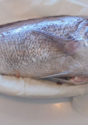 鯛のあら出汁-レシピのメイン写真