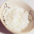 軟飯〜離乳食後期,完了期〜