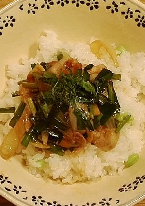 酢飯でさっぱり夏のスタミナ丼-レシピのメイン写真