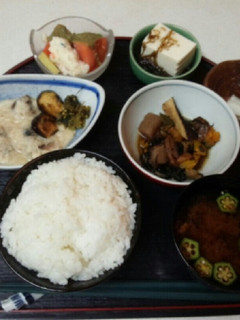 血管ダイエット食470(鰹やまかけ)-レシピのメイン写真