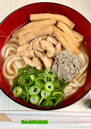 アゲアゲうどん…油揚げ・かしわ・葱多め-レシピのメイン写真