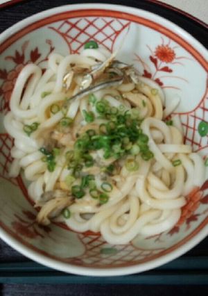 血管プラークダイエット食472（うどん）-レシピのメイン写真