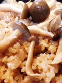 しめじとシーチキンの炊き込みごはん-レシピのメイン写真