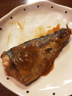 鯖の味噌煮-レシピのメイン写真